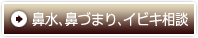 鼻水、鼻づまり、イビキ相談